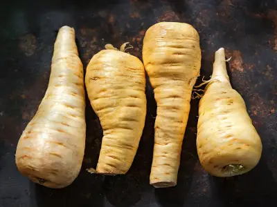 Mashed parsnips with cream and parmesan: a cosy autumn side