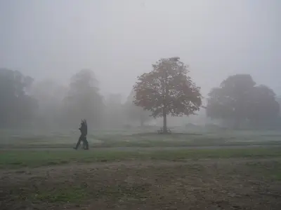 Met Office fog warning: 36 areas face travel disruption this weekend