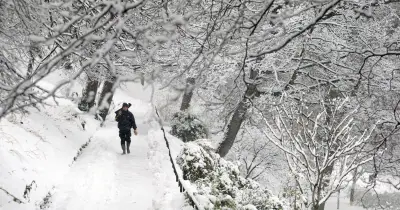 Met Office forecasts snow to hit parts of UK on Saturday