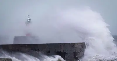 Met Office issues 60mph wind warning for 38 areas on Friday - full list
