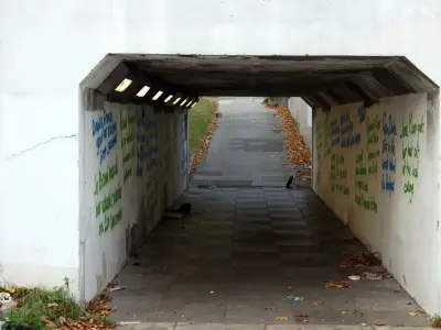 Mysterious 'Mellow Birds' claim responsibility for West Denton graffiti