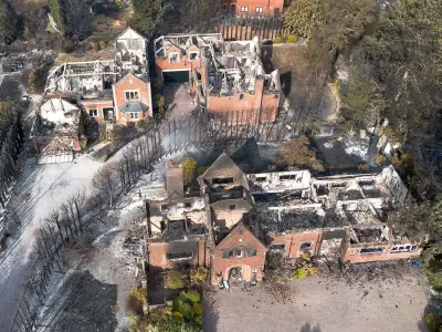 National Trust chief urges root-cause action on wildfires ahead of summit