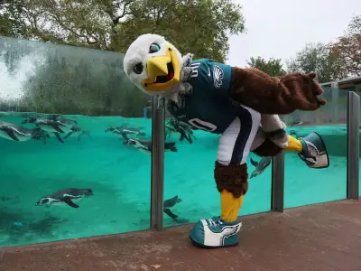 NFL Takes Over London with Zoo Mascots and Trafalgar Fan Fest