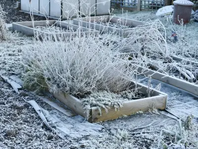 November Gardening Jobs to Boost Your Christmas Dinner