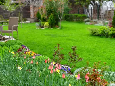 November lawn care: aerate now for a lush spring garden