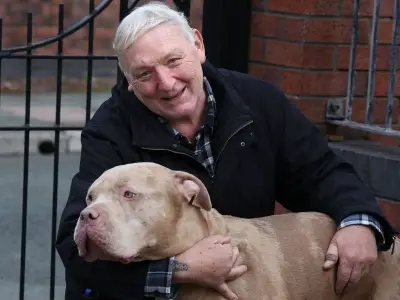 Pensioner's terror as neighbour tried to torch home with XL bully inside