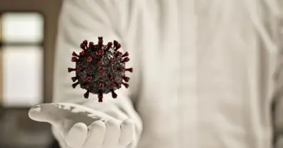 Plague prepper reveals six steps to prepare if Russia outbreak spreads