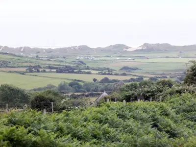 Police probe suspected illegal hunting and hare coursing on Gower