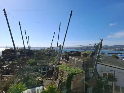 Police warn urban explorers after Torquay zoo arson incidents