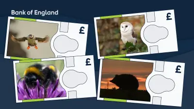 Puffin, owl, bumblebee and hedgehog to feature on new Bank of England notes