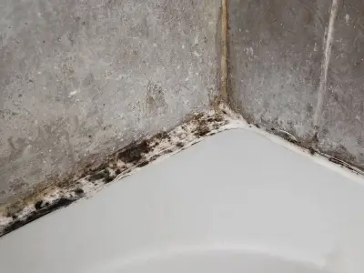 Remove black mould from silicone sealants with 45p vinegar hack