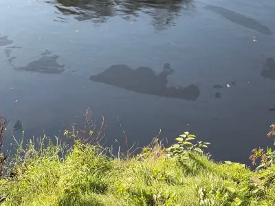 River Taff kerosene spill source found as NRW probes damage