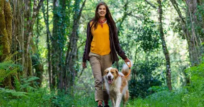 RSPCA warns dog walkers of legal restrictions and fines