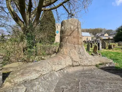 Stanhope's 320-million-year-old fossil tree and historic attractions