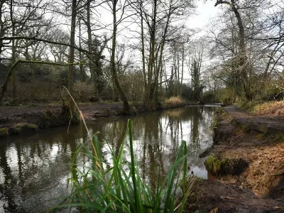 Stockport green belt homes plan faces refusal over nature fears