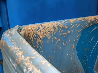 Stop flies and maggots in bins with peppermint oil and baking soda