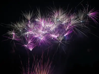 Swansea Bonfire Night fireworks move to Singleton Park with £4 tickets