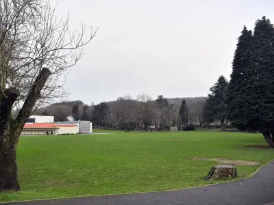 Teenagers sentenced for park attack on boy in Pontypridd