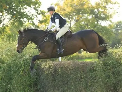 Teen's Olympic dreams in doubt after prize horse killed in crash