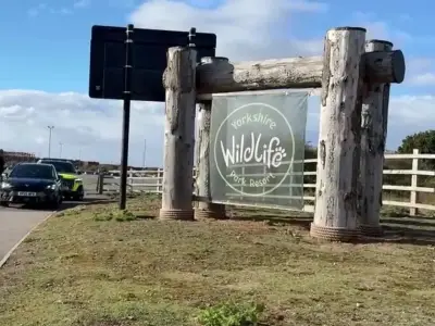 Tiger uninjured after fatal attack at Yorkshire Wildlife Park