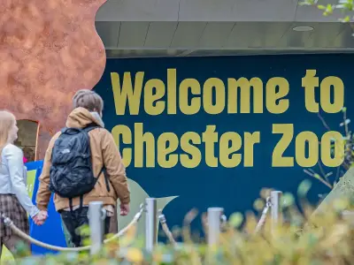 Traitors Stars Winkleman and Carr Named After New Chester Zoo Vultures