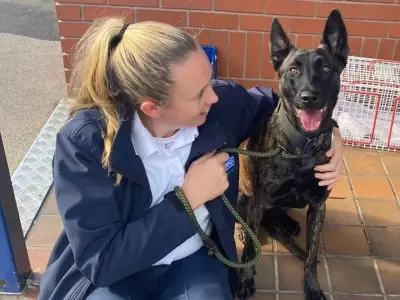 Tributes pour in for RSPCA officer Sonia Hulme who saved thousands of animals