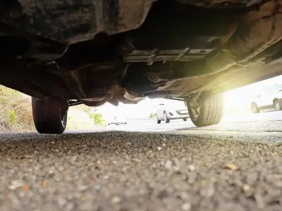 Two second check all motorists should make every autumn morning