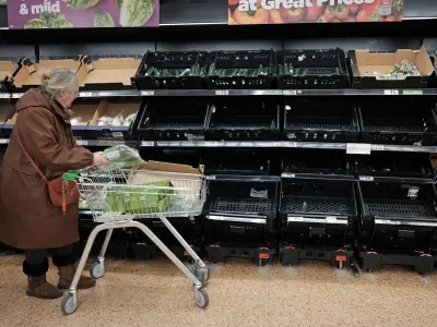 UK urged to build mass food storage sites for national emergencies