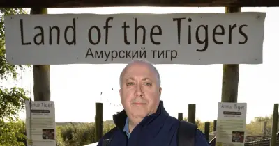 UK Zoo Tiger Enclosure Safety Concern After Fatal Mauling