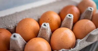 Urgent egg recall: Salmonella warning on Ukrainian eggs