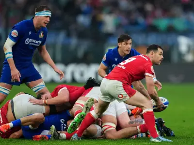 Wales scrum-half depth questioned as Springbok star faces uncertain future