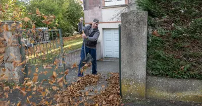 Who Is Legally Responsible for Clearing Fallen Leaves? Lawyer Settles It