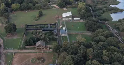 Why police didn't shoot tiger that mauled man to death at Yorkshire Wildlife Park