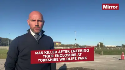 Witness to tiger attack at Yorkshire Wildlife Park urges public to 'think'