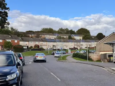 Woman bitten by dog on Newport street, police investigate