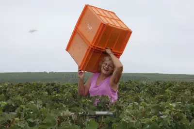 World Champagne Day 2026: Why Stop Saving the Good Bottle?