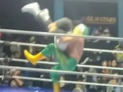 Wrestling referee dies after banned piledriver; wrestler arrested