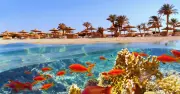 10 Best Winter Sun Destinations Under 6 Hours From UK, Says Expert
