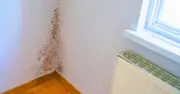 10-Minute Morning Task That Keeps Mould Out of Homes All Winter