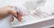 8p cornflour trick removes mattress stains without scrubbing