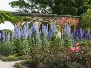Alnwick Poison Garden Sets Guinness World Record