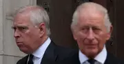 Andrew's legal action against Thames Valley Police explained