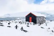 Antarctica team deployed to save historic base from climate change