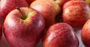 Apples stay fresh 6 weeks with newspaper wrapping trick