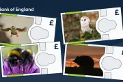 Bank of England reveals animals for next banknote series