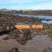 Beachgoer finds suspected WWII torpedo near famous golf club