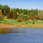 Bedgebury Forest: The Autumn 'Magic' Spot an Hour from London