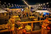 Best pumpkin patches near London for Halloween 2026
