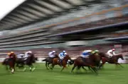 British Champions Day 2026 odds, tips and betting guide for Ascot