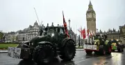 British farmers lose £500m as inflation erodes budget